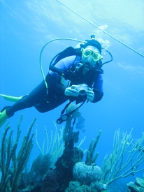 Diving in Belize